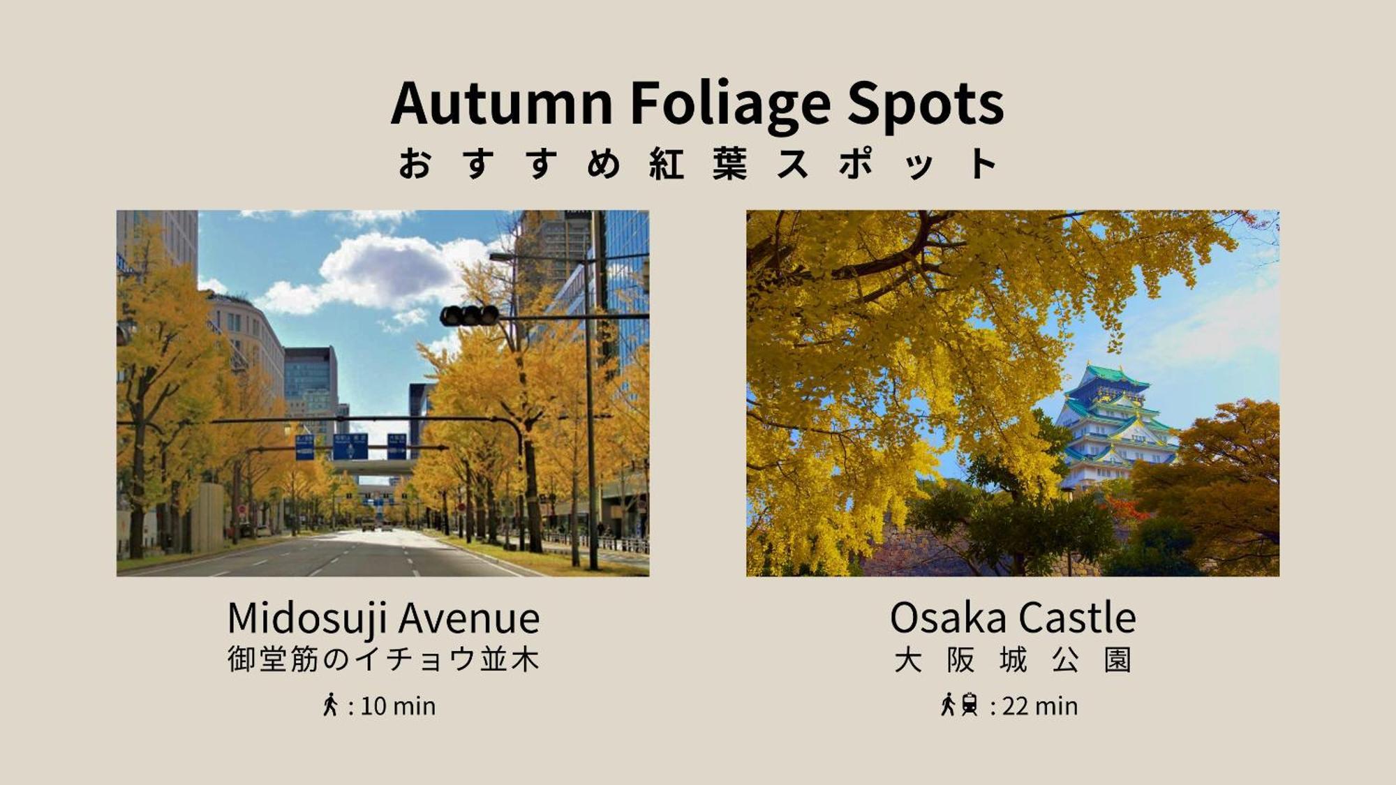 Bon Condo Namba Nipponbashi Osaka Zewnętrze zdjęcie